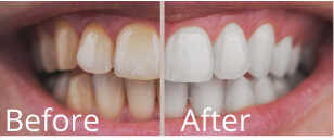 Dr Stella Backos in Fords New Jersey