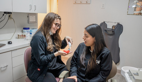 Our Dental Staff